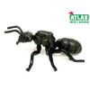 A - Figurka Mravenec černolesklý 9 cm