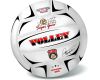 Míč volejbalový VOLLEY CHAMPIONS (250g) - nenafouknutý 21 cm