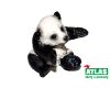 A - Figurka Pandí mládě 4,5 cm