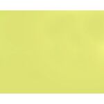 Sáček celofan 25x40 cm METAL
