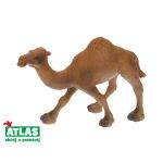 B - Figurka Velbloud jednohrbý 11 cm
