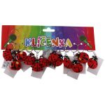 Klíčenka beruška