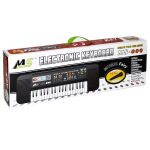 Klávesy s mikrofonem 54 cm