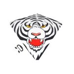 Létající drak 72 x 68 cm - Český obal