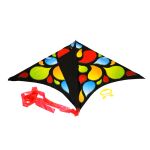 Létající drak 61 x 114 cm