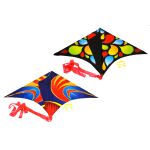 Létající drak 61 x 114 cm