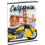 Záznamová kniha LUX A5 96 listů, linkovaná, mix 16 motivů