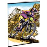 Záznamová kniha LUX A5 96 listů, linkovaná, mix 16 motivů