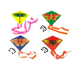 Létající drak 27 x 33 cm - Český obal