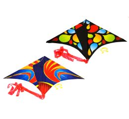 Létající drak 61 x 114 cm