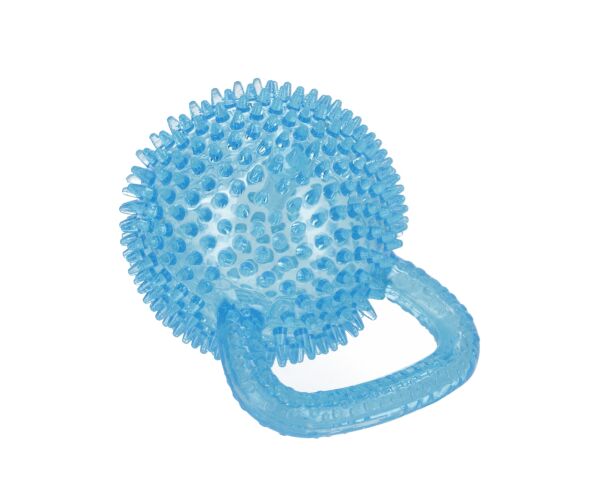 Hračka pro mazlíčky Dentální pískací hračka pro psy s úchytem modrá 9,5 cm
