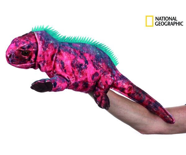 National Geographic maňásek Leguán 23 cm