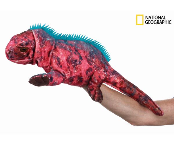 National Geographic maňásek Medvěd Grizzly 23 cm