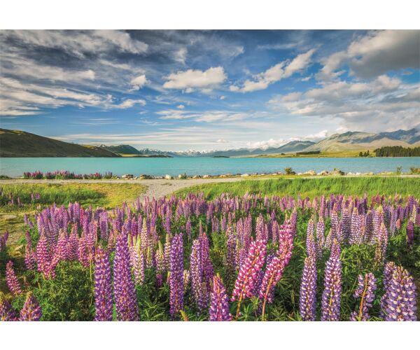 Clementoni Puzzle 1500 Lupiny u jezera Tekapo