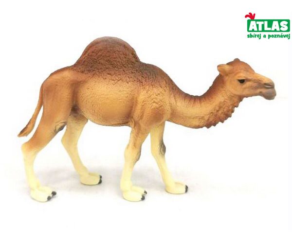 B - Figurka Velbloud jednohrbý dromedár 14 cm