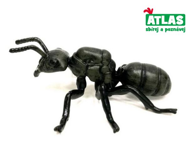 A - Figurka Mravenec černolesklý 9 cm
