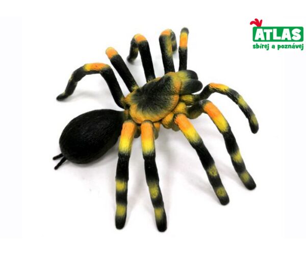 A - Figurka Pavouk Sklípkan smithův 11 cm