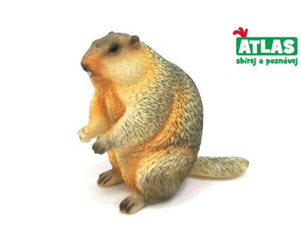 A - Figurka Svišť 6,5 cm