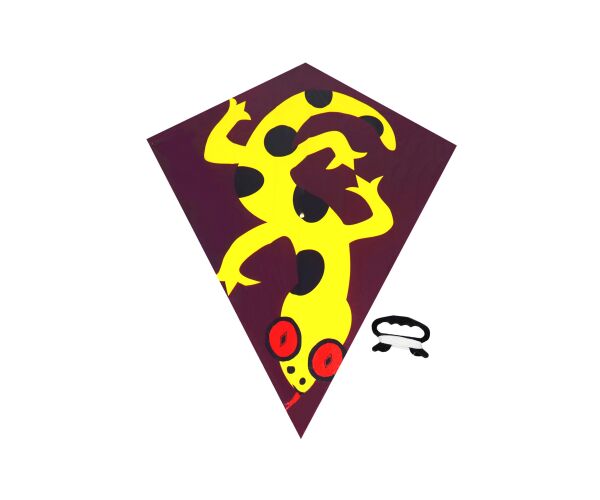 Létající drak 72 x 68 cm - Český obal