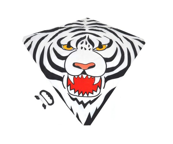 Létající drak 72 x 68 cm - Český obal