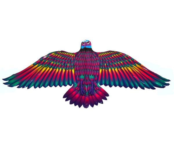 Létající drak orel 132 x 60 cm