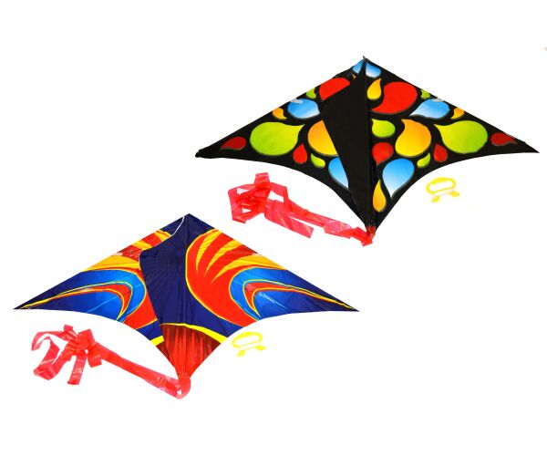 Létající drak 61 x 114 cm