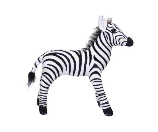 Zebra 36x33 cm