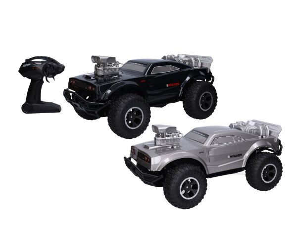 Auto RC na dálkové ovládání 48 cm