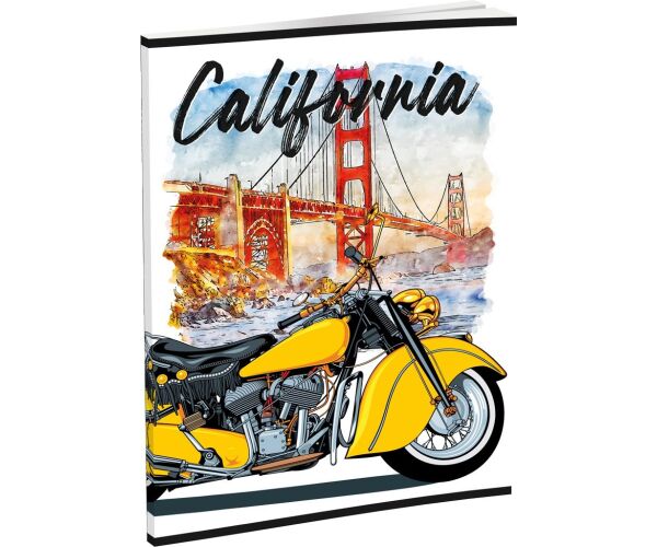 Záznamová kniha LUX A5 96 listů, linkovaná, mix 16 motivů