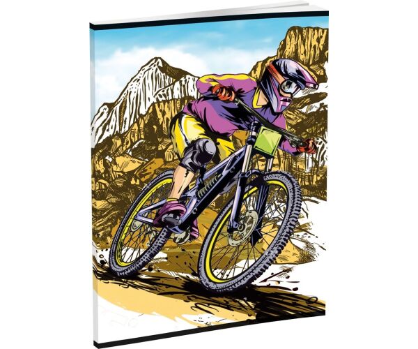 Záznamová kniha LUX A5 96 listů, linkovaná, mix 16 motivů